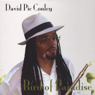 Bird Of Paradise by David Pic Conley