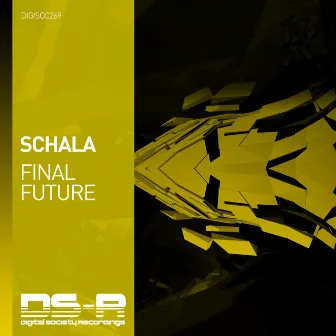 Final Future by SCHALA