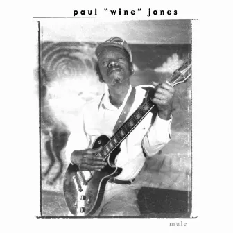 Mule by Paul Jones