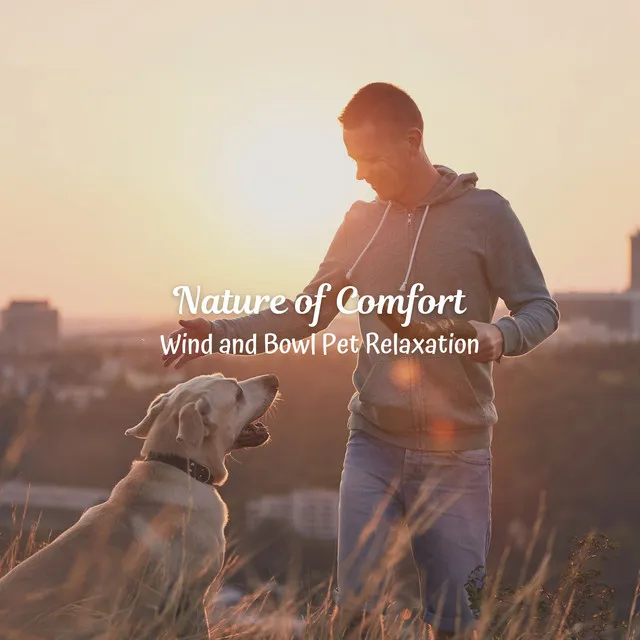 Nature of Comfort: Wind and Bowl Pet Relaxation