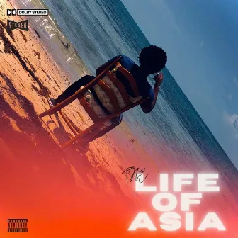 The Life Of Asia by Karrington