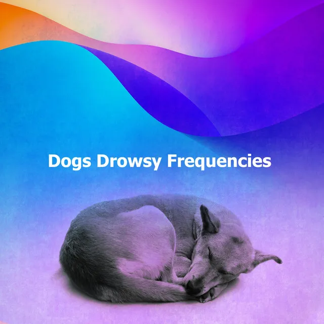 Dogs Drowsy Frequencies