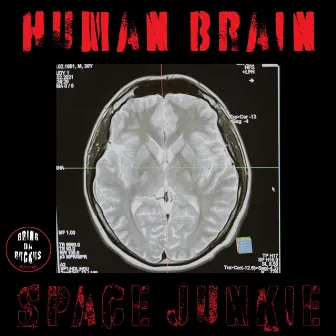 Human Brain by Space Junkie