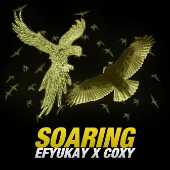 Soaring by Efyukay