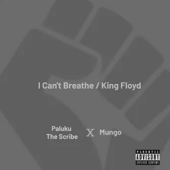 I Can't Breathe / King Floyd (Medley) by Mungo