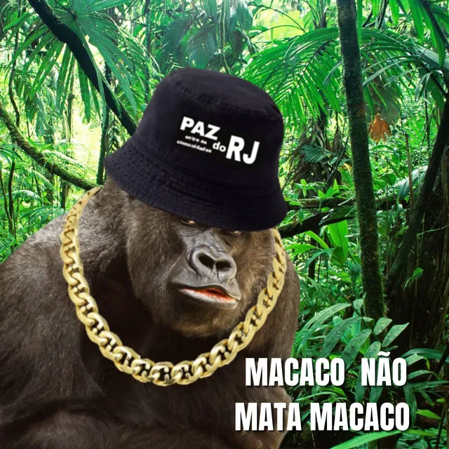 Macaco Não Mata Macaco