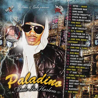 Made in harlem by Paladino