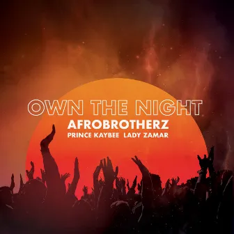 Own The Night by Afro Brotherz