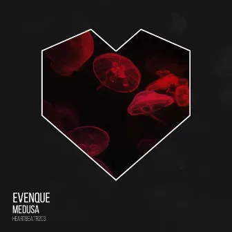 Medusa by Evenque