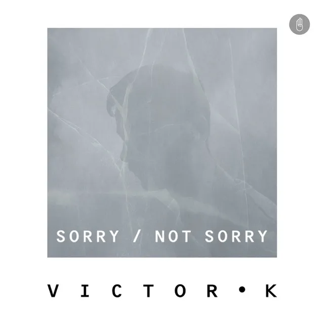 Sorry / Not Sorry