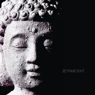 Sleep Will Come by Buddha's Lounge