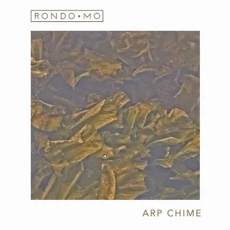 Arp Chime by Rondo Mo