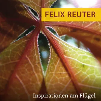 Inspirationen am Flügel by Felix Reuter