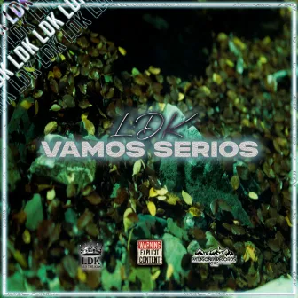 Vamos Serios by LDK