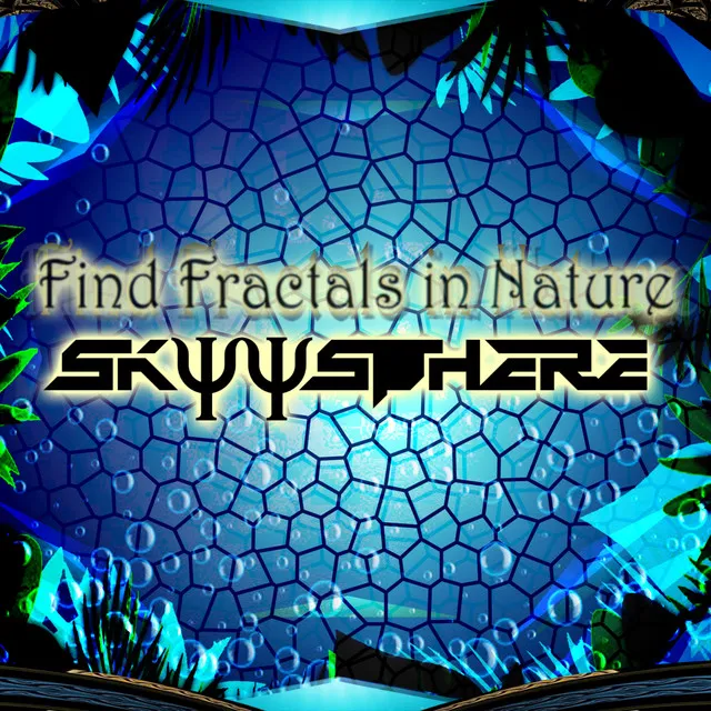 Find Fractals In Nature