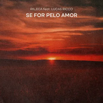 Se For Pelo Amor by Paleca