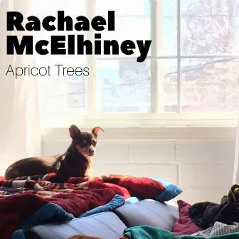 Apricot Trees by Rachael McElhiney