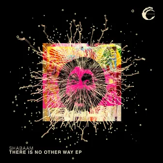 There Is No Other Way by Shabaam