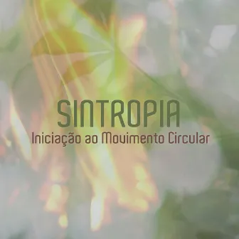 Sintropia - Iniciação ao Movimento Circular by Ivy Morais