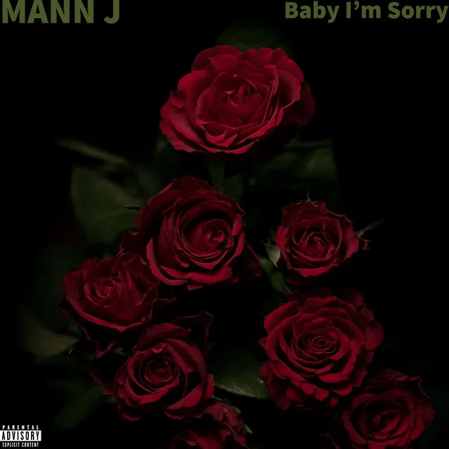 Baby I'm Sorry