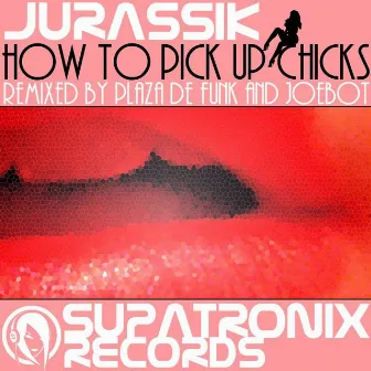 How To Pick Up Chicks by Jurassik