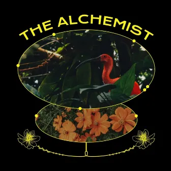 The Alchemist by Yongu