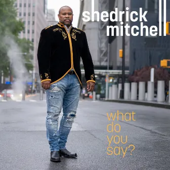 What Do You Say? by Shedrick Mitchell