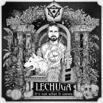 It's Not What It Seems by Lechuga