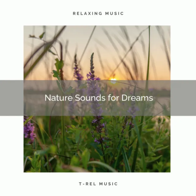 Nature Sounds for Dreams