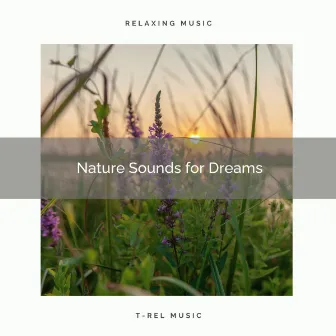 Nature Sounds for Dreams by Nature Sounds & Nature Noise