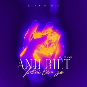 Anh Biết Phải Làm Sao (Luka Remix) by V.Anh