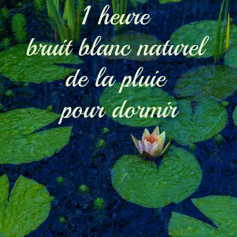 1 heure bruit blanc naturel de la pluie pour dormir by 