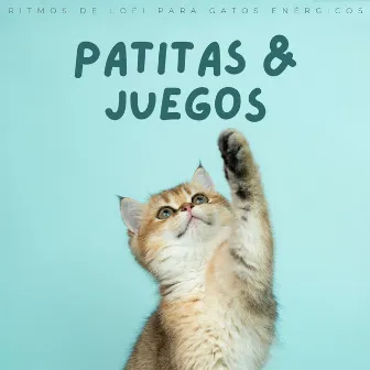 Patitas Y Juegos: Ritmos De Lofi Para Gatos Enérgicos by Ritmos lofi