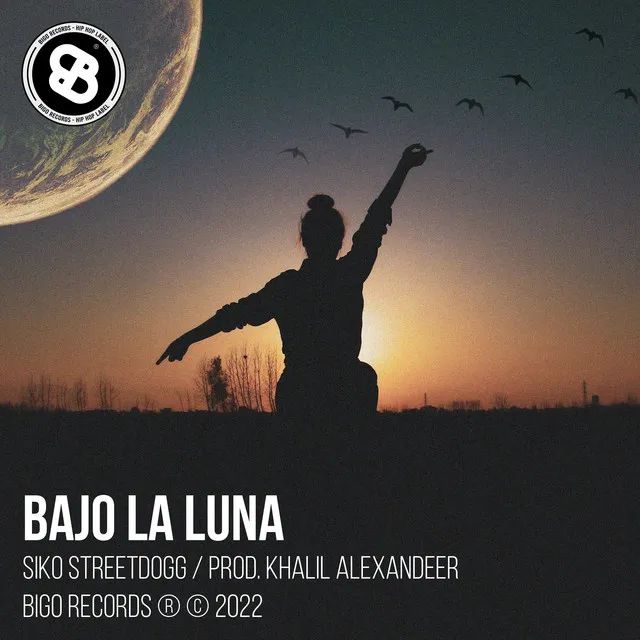 Bajo la luna