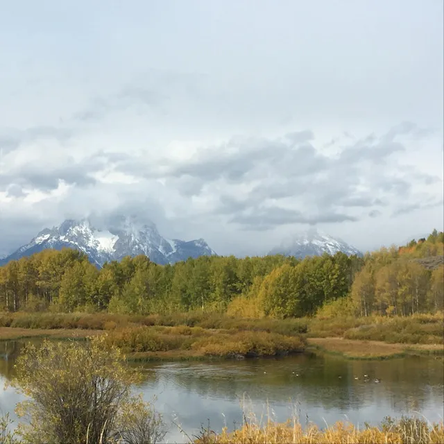 Wild in Wyoming