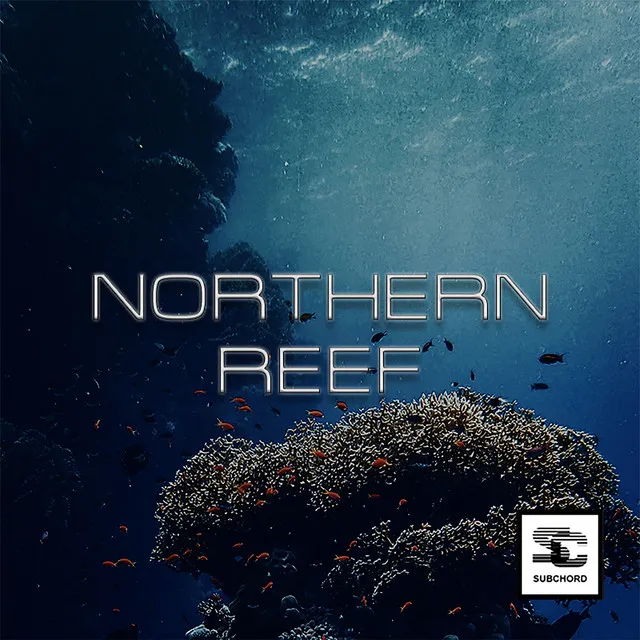 Northern Reef - Fingers In The Noise Remix