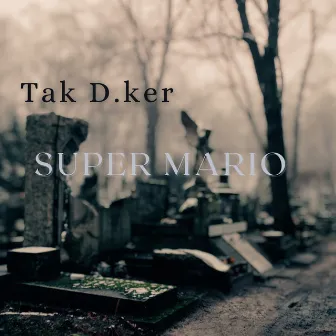 Super Mario by Tak D. ker