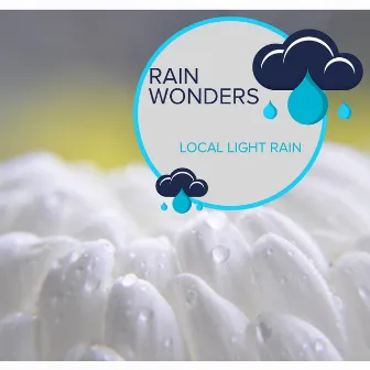 Rain Wonders - Local Light Rain by Everyday Rain Stories