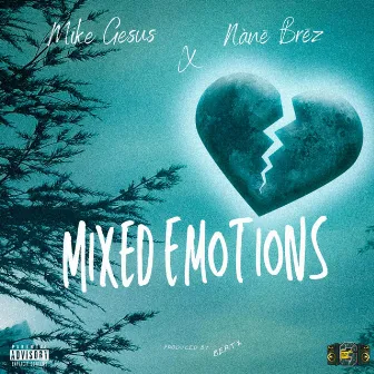 Mixed Emotions by Mike Gesus