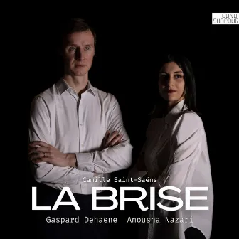 La Brise by Gaspard Dehaene