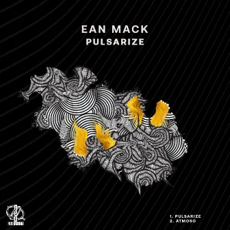 PULSARIZE by EAN MACK