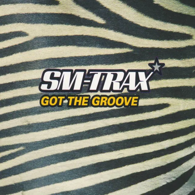 Got The Groove (SM Radio Edit)