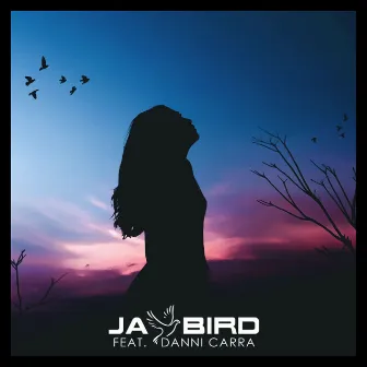 Let You Down by Jay Bird