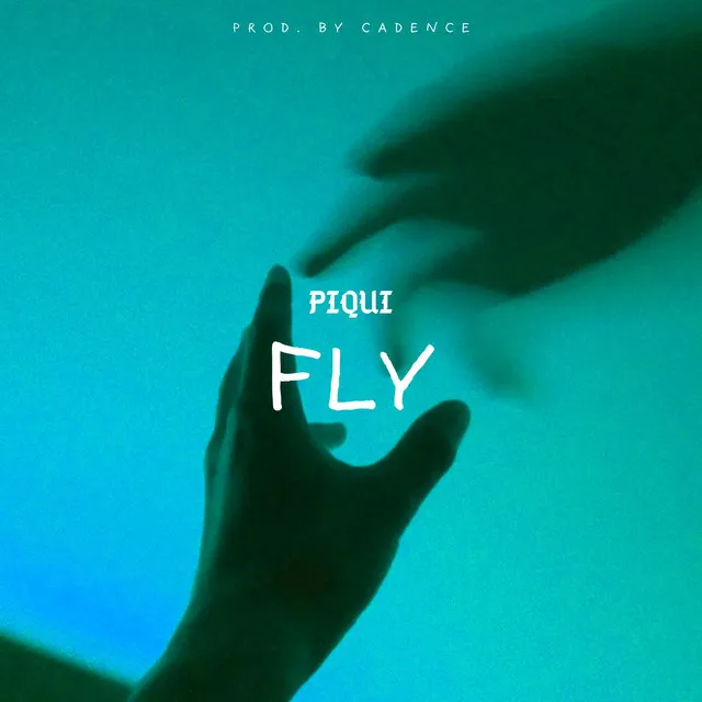 Fly