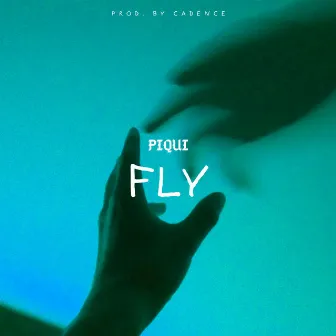 Fly by Piqui