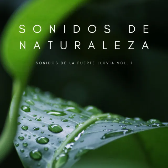 Música De La Lluvia