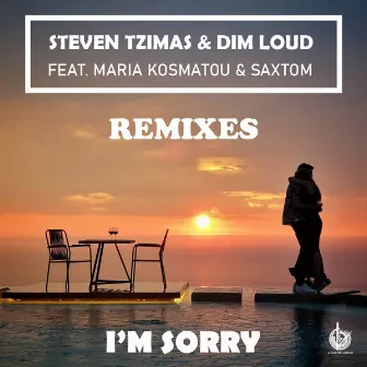 I'm Sorry (Remixes) by Dim Loud