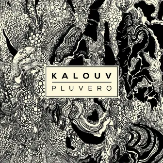 Pluvero by Kalouv