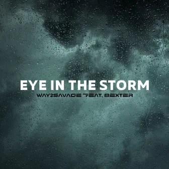 Eye in the Storm by Way2Savage