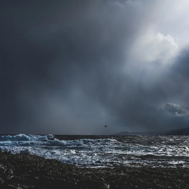 Rocky Shore